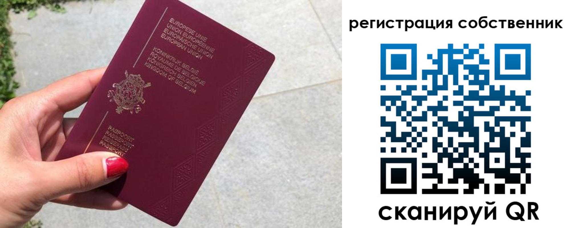 временная регистрация поиск в Балтийске